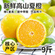 正宗重慶高山夏橙9斤橙子新鮮水果當(dāng)季現(xiàn)摘手剝橙冰糖橙臍橙整箱M 9斤大果【現(xiàn)摘精選】