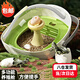 茨格曼科學(xué)罐頭烏龜?shù)胺趸搶Ｓ酶變和瘜W(xué)生觀察倉(cāng)爬臺(tái)曬臺(tái)一體龜苗缸# 烏龜?shù)胺趸瘜Ｓ脗}(cāng)