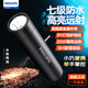 飛利浦（PHILIPS）金屬手電筒強光遠射超長續(xù)航充電便攜家用戶外應急燈SFL2202/93