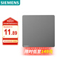 西門子（SIEMENS）空白面板 86型暗裝面板 裝飾蓋板白板  皓彩深灰銀5UH26133NC02