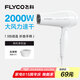 飛科（FLYCO）電吹風(fēng)機(jī)家用發(fā)廊大功率2000W速干恒溫便攜可折疊白色FH6232