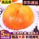 攸竹  山東黃金油蟠桃彩虹蟠桃黃心油桃新鮮水果桃子脆甜扁桃水果禮盒 10斤精選裝