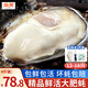 朵芙【活鮮】生蠔 4斤超大?；?XL 6-10只左右 新鮮牡蠣子 生鮮貝類(lèi) 超肥鮮活2XL號4斤約（12-18）只
