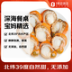 福字號冷凍櫛孔扇貝肉帶卵1000g火鍋食材40-60規(guī)格