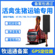 4G牧運(yùn)通專(zhuān)用gps定位器北斗部標(biāo)JT808拉生豬家禽畜牧局備案運(yùn)輸 4G牧運(yùn)通接線GPS（包通過(guò)）