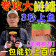 老偏方鰱鳙餌料天元野釣鰱鳙專(zhuān)用方塊餌料酸臭蒜香奶香通殺花鰱白鰱神器 1包【內含16塊】酸臭味