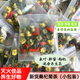 北京同仁堂霜打后桑葉茶寧夏枸杞桐鄉(xiāng)胎菊菊花茶小包裝袋裝組合代用茶養(yǎng)生茶 桑杞菊5g小包X80