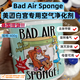 BAD AIR SPONGE美國空氣凈化劑清新劑裝修甲醛除母嬰新車(chē)房家用活性炭除味劑 舊款-2罐800g（約74平方）