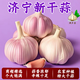 【新干蒜】2025年干大蒜蒜頭干蒜金鄉大蒜農家蒜便宜批發(fā) 嚴選實(shí)惠5斤4.0-5.0cm大果帶箱