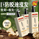 同仁堂防脫育發(fā)洗發(fā)水防脫發(fā)增密生姜防脫400ml*3瓶