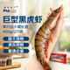 禧美海產(chǎn) 巨無(wú)霸黑虎蝦無(wú)冰凈重450g/盒 2只裝 超大 禮盒送禮 巨型海捕