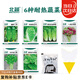 北蔬蔬菜種子空心菜莧菜木耳菜黃瓜快菜耐熱種籽 6種耐熱蔬菜種子套裝