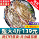 【銷量60W+只】舟山超大梭子蟹鮮蟹活凍大螃蟹生鮮飛蟹大肉蟹 4斤6-8只