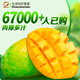 生活＆好管家四川凱特芒大芒果新鮮水果時令芒果應季整箱現(xiàn)摘生鮮芒果 凱特芒凈重4.5斤裝 單果300g+(試吃裝，果子稍小)