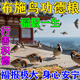 跑來(lái)跑去布施鳥(niǎo)食救助小鳥(niǎo)冬天野外投喂麻雀斑鳩喜鵲五色黍子五谷雜糧小米 1桶【廣結善緣】