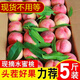 隴百味山西水蜜桃 現(xiàn)摘新鮮當季應季時令水果整箱桃子脆甜軟硬兩吃 凈重4.5斤單果70g+