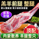 柒島羊腿新鮮整只前腿不切內(nèi)蒙古羊肉羊腿肉烤羊腿食材中秋送禮禮盒 羊前腿（整只）凈重3-3.5斤