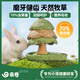 乖卷兔子磨牙零食磨牙棒啃咬玩具果蔬高草含量助排毛球造景 磨牙小樹(shù)