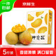 京鮮生 國產(chǎn)澳芒大芒果 5斤禮盒裝 單果400g起 生鮮水果 源頭直發(fā)