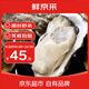 鮮京采【活鮮】生蠔凈重5斤 5XL 9-12只左右 源頭直發(fā) 海鮮水產(chǎn)