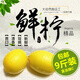 uncle lemon安岳黃檸檬一級果四川特產(chǎn)新鮮檸檬水果汁多榨汁產(chǎn)地直供 9斤一級果超值裝