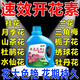 翠緣速效開花素植物促花箭爆花粉茶花三角梅君子蝴蝶蘭營養(yǎng)液專用肥料 速效開花素【1瓶裝】