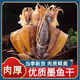 精選大號墨魚干500g煲湯新鮮淡曬海鮮干貨烏賊干目魚干水產(chǎn)干貨 【嘗鮮200g】小墨魚干貨約10-15個
