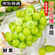 集南鮮  四川陽(yáng)光玫瑰葡萄 新鮮香印青提子 JD快遞現(xiàn)摘直發(fā)生鮮水果禮盒 含箱5斤彩箱（單果8-12g）凈重4斤