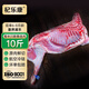 杞樂(lè )康 寧夏灘羊肉 新鮮現宰羊肉全羊半只羊腿羊排中秋送禮盒裝源頭直發(fā)【斷骨連肉】10斤整半只乳羔羊