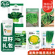 壽禾 蔬菜種子種苗秋季菠菜香菜黃心烏蘇州青 冬季6種蔬菜種子大全