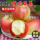 龍多鮮順豐JD山西嘎啦蘋(píng)果當(dāng)季整箱現(xiàn)摘早熟紅富士冰糖小蘋(píng)果新鮮水果 整箱5斤果徑70-90MM凈4.5斤