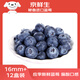 京鮮生秘魯進(jìn)口藍(lán)莓12盒裝16mm+ 偏酸口感 125g/盒新鮮水果源頭直發(fā)包郵