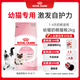 皇家幼貓奶糕 幼貓貓糧 BK34 通用糧 1-4月 2KG