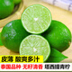 甘果有約香水檸檬 塔西提無籽青檸檬 新鮮檸檬鮮果奶茶薄皮多汁新鮮水果 現(xiàn)摘 9斤單果50-90克
