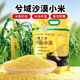 宜享健康胖 東來(lái)超市品質(zhì)新疆沙漠小米新米天然含硒養胃月子米天山小黃米 胖 東來(lái)商城品質(zhì)5斤 胖 東來(lái)商城品質(zhì)新疆種植基地直發(fā) 1袋