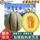 南步正宗新疆老漢瓜【順豐空運(yùn)】軟糯哈密吐魯番特產(chǎn)火焰蜜瓜新鮮水果 冰雪皇后老漢瓜 7-8斤【2-3枚裝】陸運(yùn)