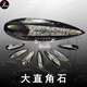 天然直角石震旦角石動(dòng)物化石原石礦石標(biāo)本桌面創(chuàng)意擺件飾品禮品真 ZJS-隨機(jī)款實(shí)物非此圖發(fā)140元的