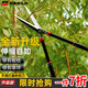 捷立（GeeLii）可伸縮修枝剪 園藝剪刀高枝剪整籬剪 果樹園林剪樹枝工具 75043