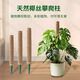 椰棕棒龜背竹支撐桿植物攀爬棕櫚皮椰絲柱綠蘿爬藤架桿固定花支架 1根30CM【PVC可拼接支撐桿】送綁帶
