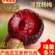 夢茜兒順豐 新鮮楊梅 10斤青紅酸甜梅貴州現(xiàn)摘土楊梅農(nóng)家生鮮特產(chǎn)泡酒 6斤東魁凍楊梅 順豐