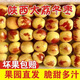 【爆甜】正宗大荔冬棗新鮮脆冬棗3斤紅棗現(xiàn)摘孕婦水果整箱批發(fā)價R 5A級 | 單果12-15g【狠甜】 試吃裝 | 1斤【運(yùn)費(fèi)貴-不劃算】