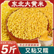 大黃米新米正宗純黏粘糯黃小米5斤東北特產(chǎn)包粽子黍子雜糧 真空大黃米500g*1袋