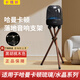 卡銳聯(lián)適用于哈曼卡頓琉璃3/4/5代音箱支架水晶4/5代音響透明底座實(shí)木落地支架支架避震減震簡(jiǎn)約底座 琉璃3/4代黑胡桃木56CM【不含音響贈防塵罩 落地音響支架76CM