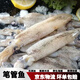 筆管魚(yú)新鮮冷凍野生海捕筆管魚(yú)小魷魚(yú)小海兔子現捕新鮮海鮮水產(chǎn) 筆管魚(yú)1500g