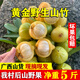 廣西野生黃金山竹新鮮黃牙果 酸桐子粘牙子木竹子黃牙桔 嶺南山竹 5斤 酸 喜歡酸的可買(mǎi)