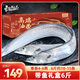 東上御品 山東 精品油帶魚(yú)禮盒6斤10-15條 海鮮 魚(yú)類(lèi) 送禮禮盒-源頭直發(fā)