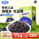 妙伯樂有機(jī)藍(lán)莓干100g寶寶無添加糖油兒童零食藍(lán)莓水果小袋休閑果肉干