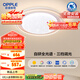 歐普（OPPLE）護(hù)眼全光譜吸頂燈臥室燈LED滿天星高亮線條簡約奶油風(fēng)包安裝 心晴
