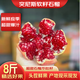 紅石榴會(huì )理突尼斯軟籽特大精品石榴臨潼貴妃石榴新鮮當季水果 軟籽石榴8斤15枚左右