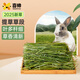 喜帥兔子提摩西草草段 烘干北提提草龍貓兔糧荷蘭豬主糧磨牙零食500g